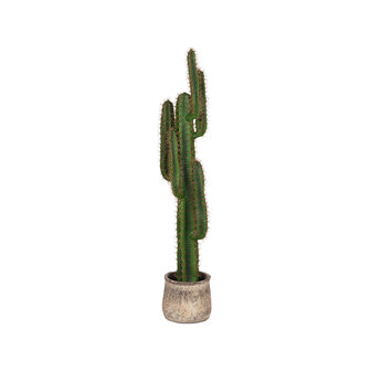 LABEL51 Woondecoratie Cactus - Groen - Kunststof - 130 cm