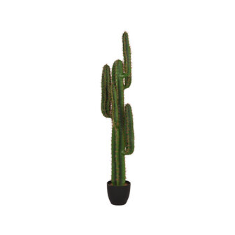 LABEL51 Woondecoratie Cactus - Groen - Kunststof - 130 cm