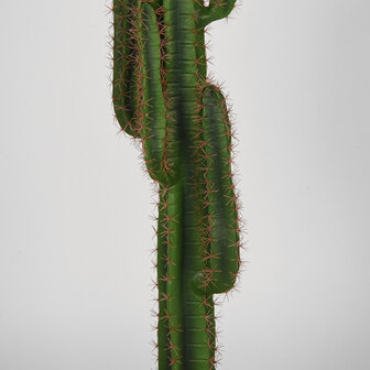 LABEL51 Woondecoratie Cactus - Groen - Kunststof - 130 cm