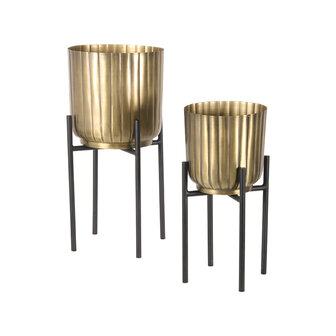 LABEL51 Plantenstandaards - Antiek Goud - Metaal - One Size