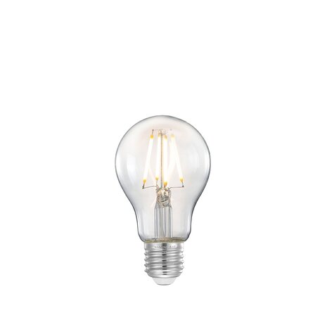 LABEL51 Lichtbronnen Kooldraadlamp - Helder glas - - Bol M