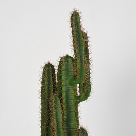LABEL51 Woondecoratie Cactus - Groen - Kunststof - 130 cm
