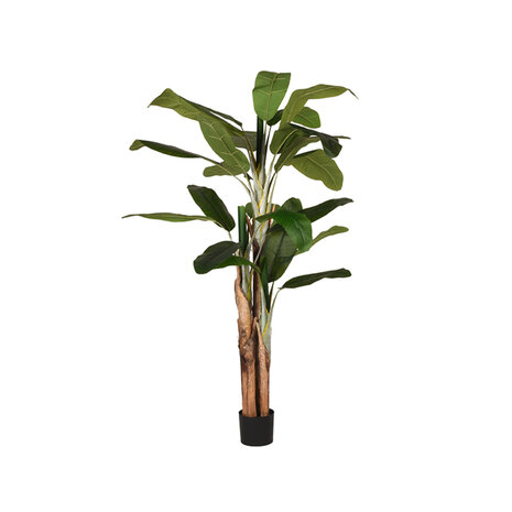 LABEL51 Woondecoratie Musa - Groen - Kunststof - 180 cm