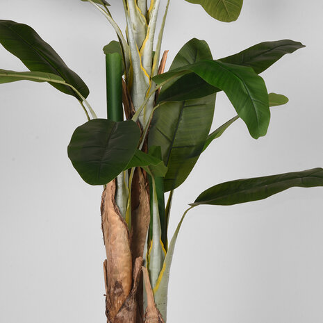 LABEL51 Woondecoratie Musa - Groen - Kunststof - 180 cm