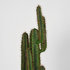 LABEL51  Cactus - Groen - Kunststof - 130_